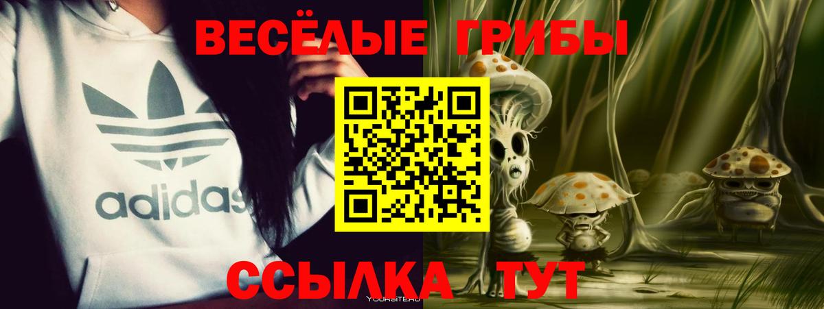 Галлюциногенные грибы мицелий  Вход с VPN  Аксай 